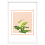 Botanical Art thumbnail