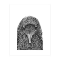 Muninn (Print Only)