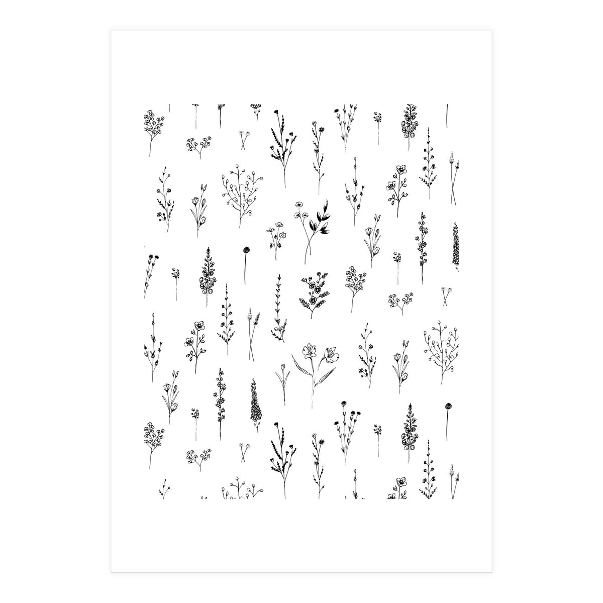 Wildflowers Minimalist Pattern (Print Only)