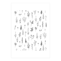 Wildflowers Minimalist Pattern (Print Only)