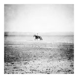 Sea Horse (Print Only) thumbnail