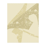 Texture Fragmentation (Print Only) thumbnail