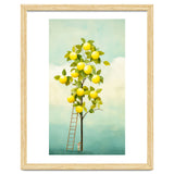 Lemon Tree thumbnail