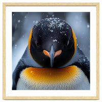Close Up King Penguin In The Snow