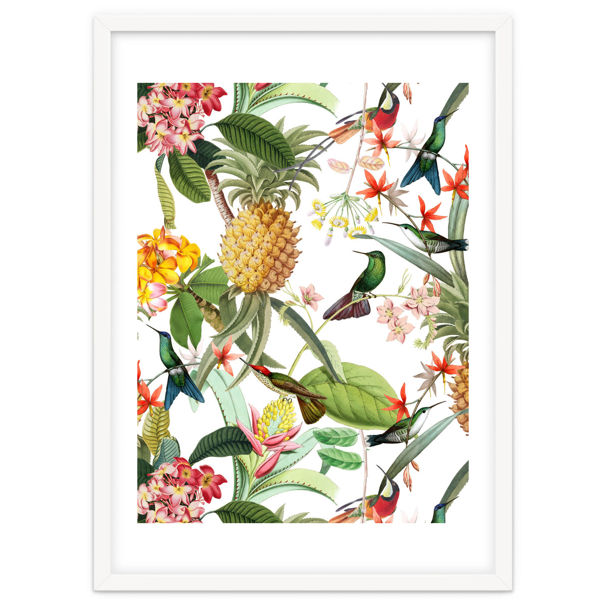 Hummingbirds in tropical Jungle