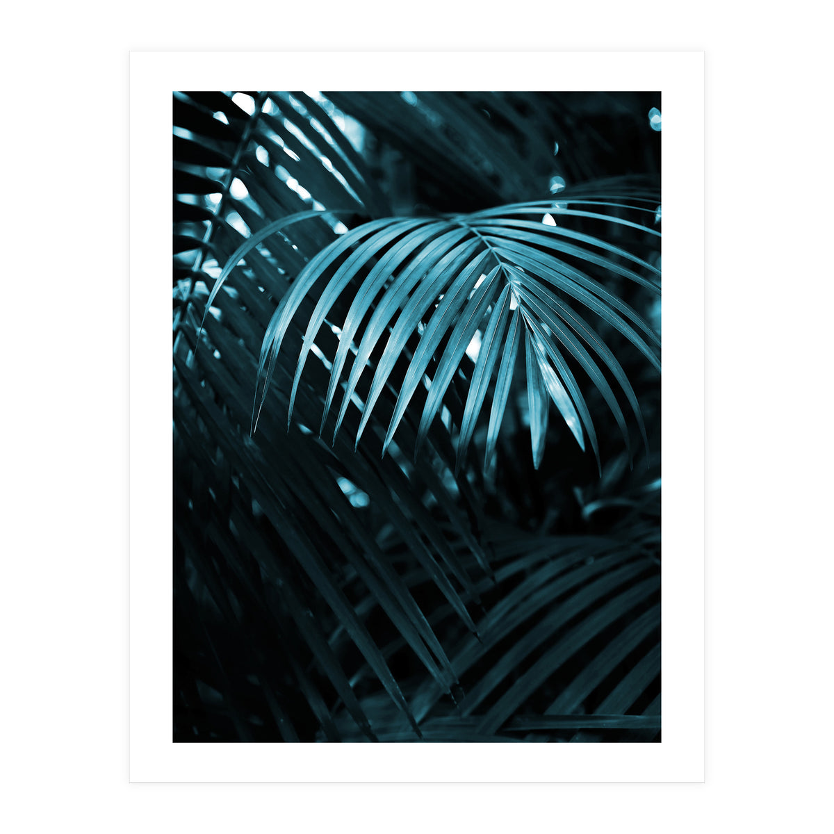 Blue Jungle Palm Ii (Print Only)