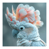 Close Up Of A White Cockatoo With Pink Crest (Print Only) thumbnail