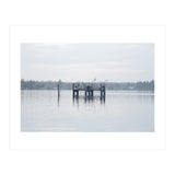 Birds rest in the Lake (Print Only) thumbnail