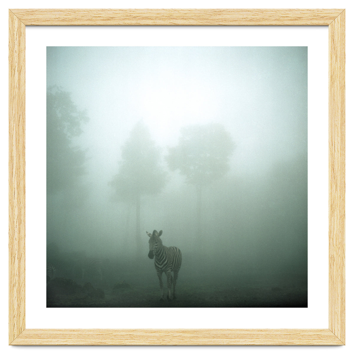 Silence of breath - 01