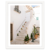 Stairs with cacti