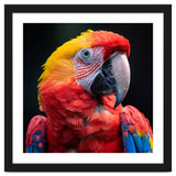 Scarlet Macaw Parrot Headshot Vibrant Colors thumbnail