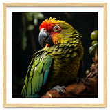 Vibrant Macaw Parrot thumbnail