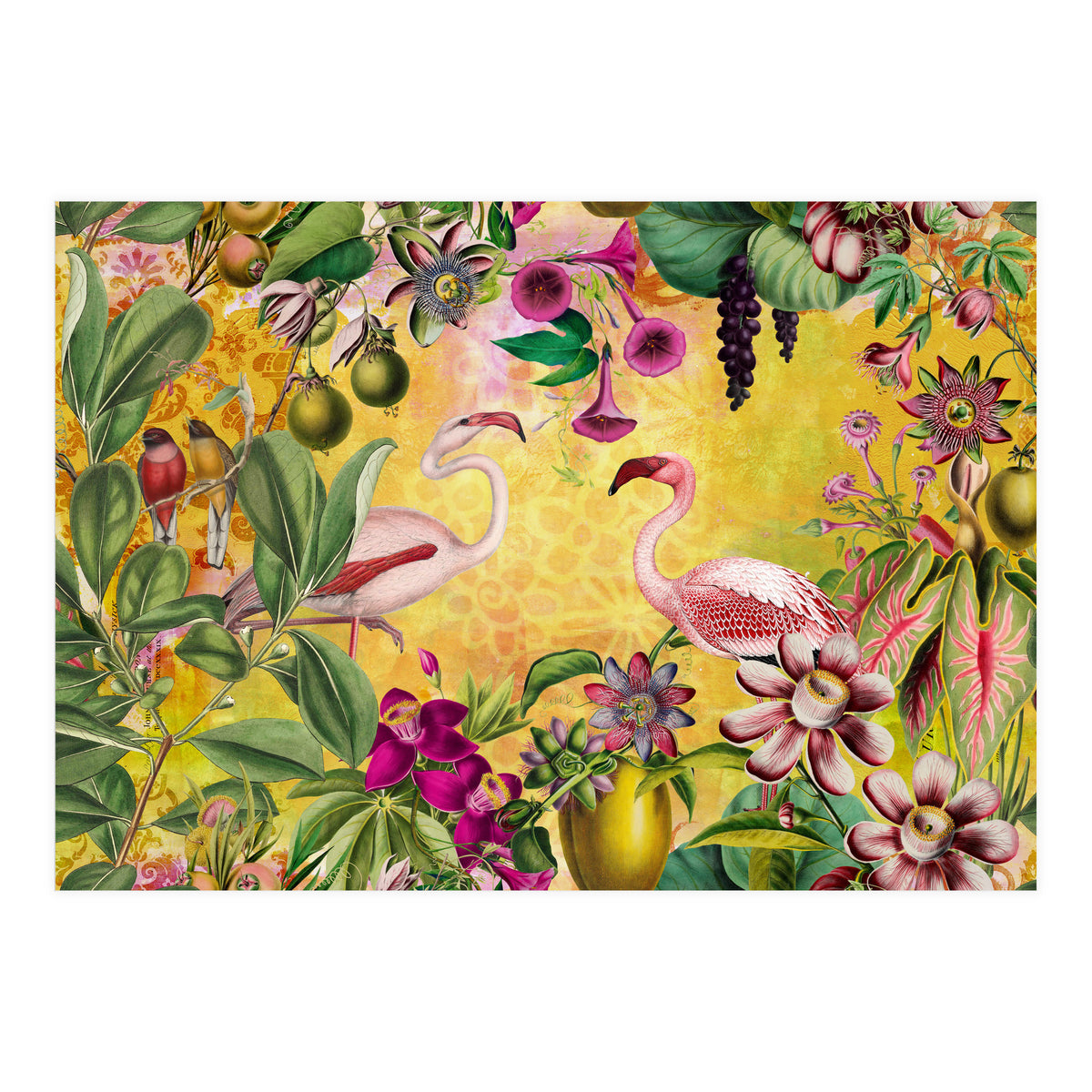 Flamingo Island (Print Only)