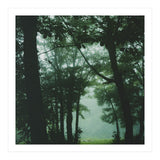 Silence of breath - 13 (Print Only) thumbnail