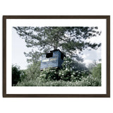 Blue hut on the tree thumbnail
