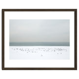 Seagulls in the winter snow beach thumbnail