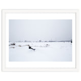 Drinking fountain covered with snow thumbnail