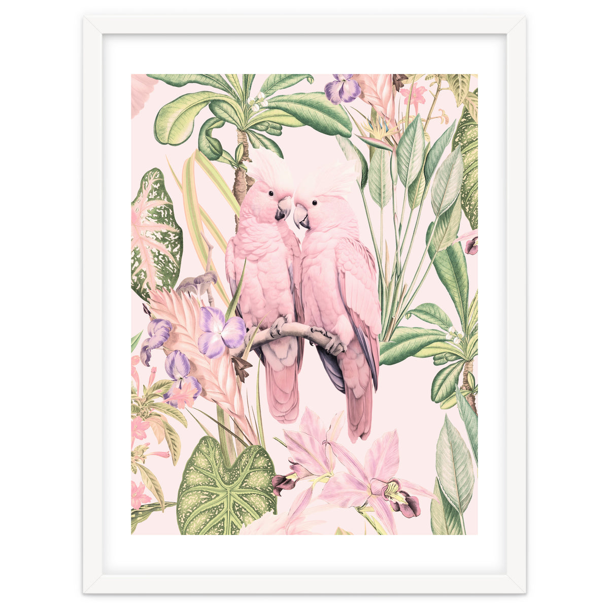 Pink Cockatoos in Love