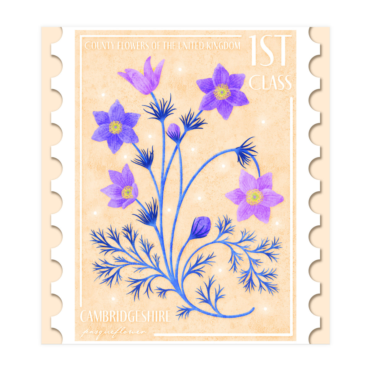 The Cambridgeshire Pasqueflower Postage Stamp (Print Only)