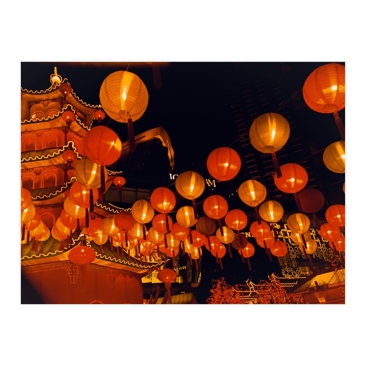 Light The Way (Print Only)