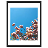 Pink Summer thumbnail