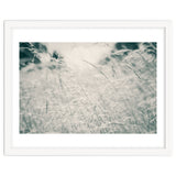 Walking Through Long Grass thumbnail