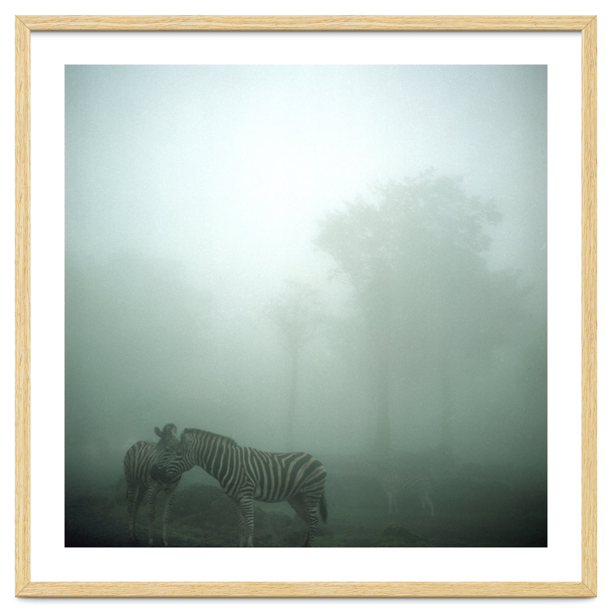 Silence of breath - 15