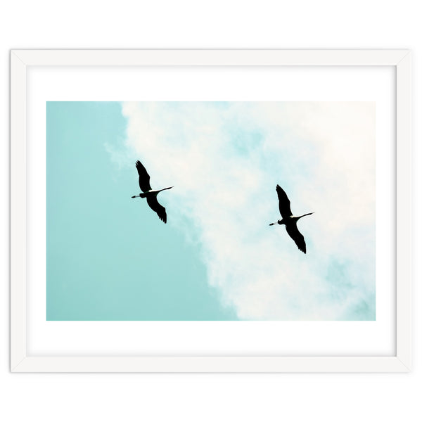 Crane(s) V