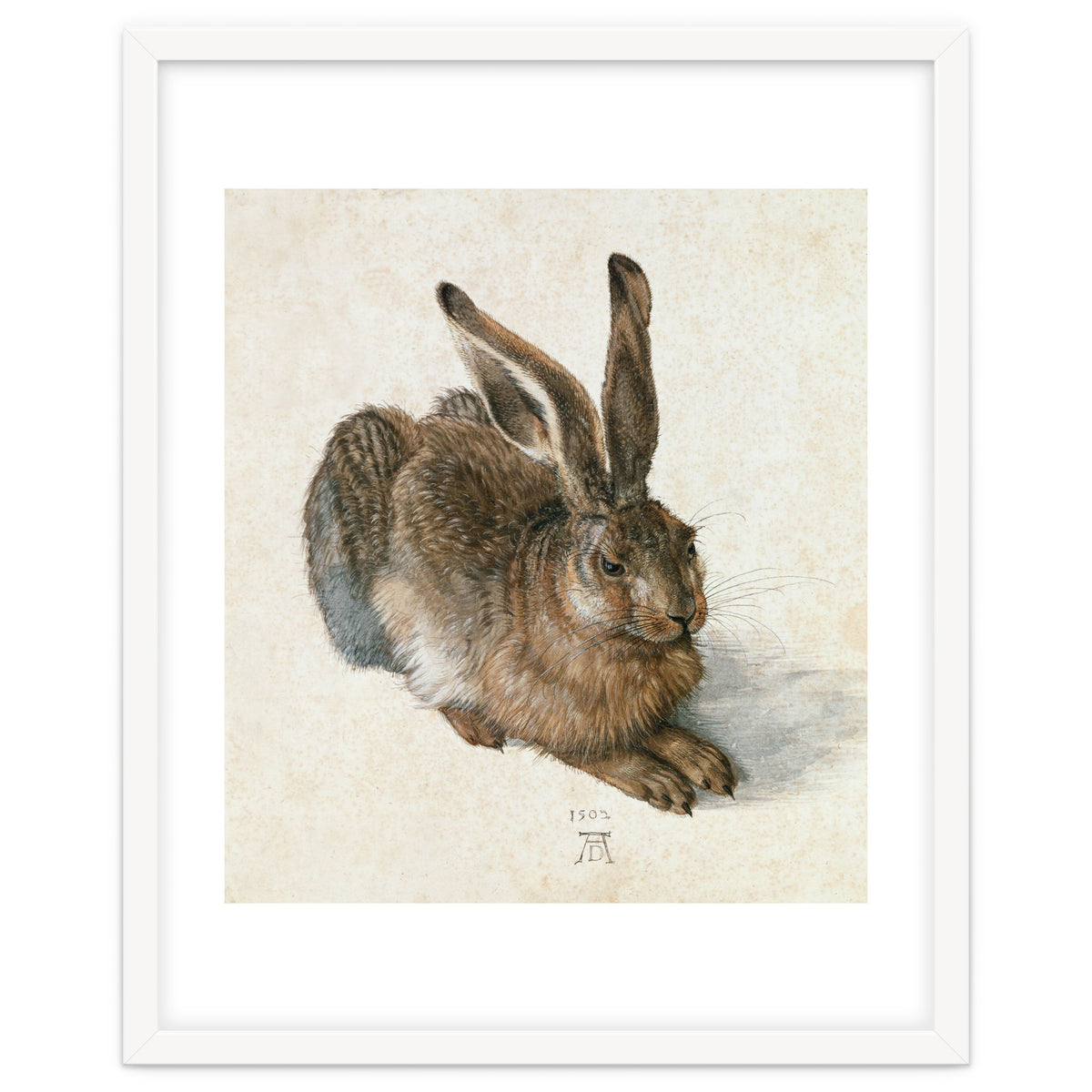Hare-Hase. Watercolour.