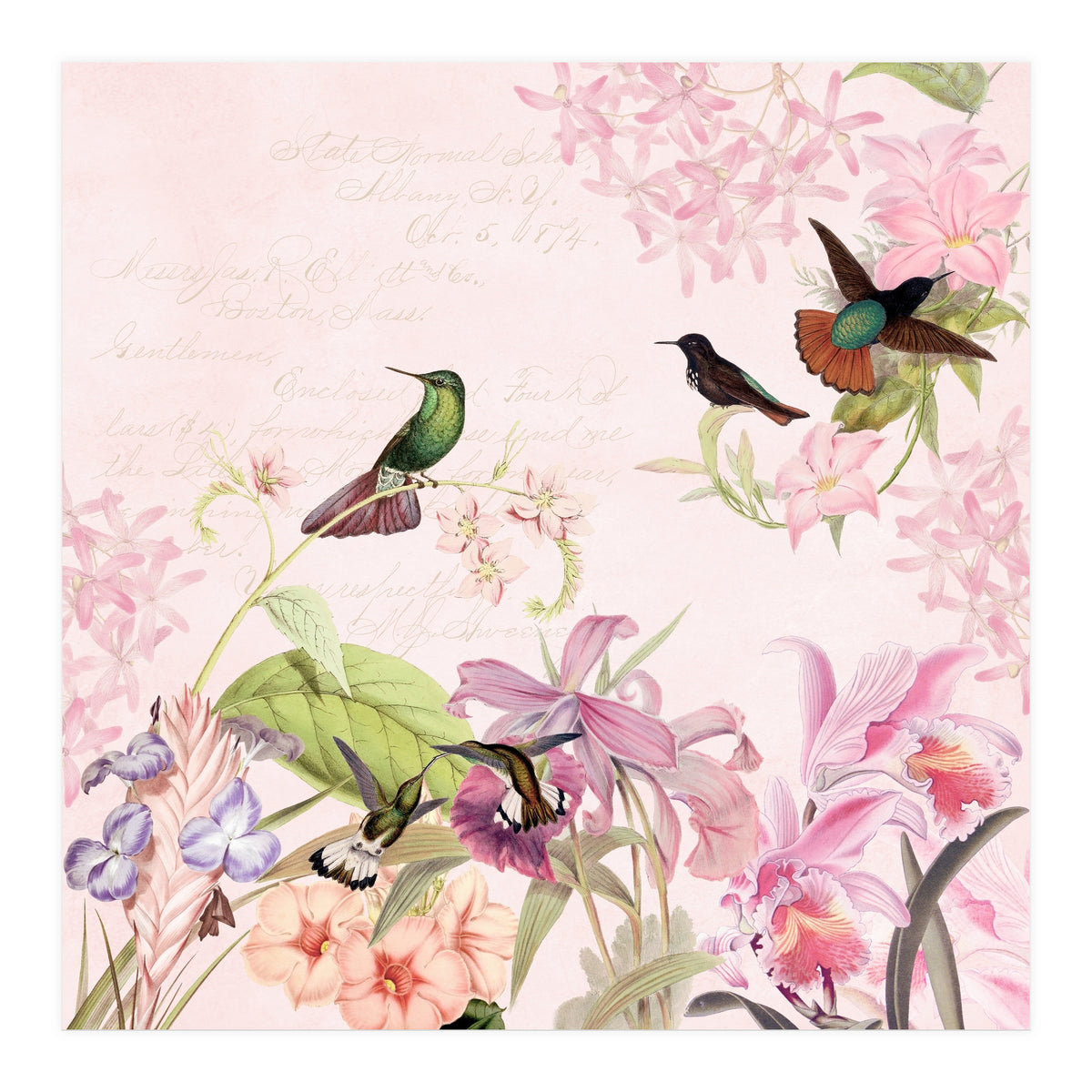 Hummingbirds in Flower Jungle  (Print Only)