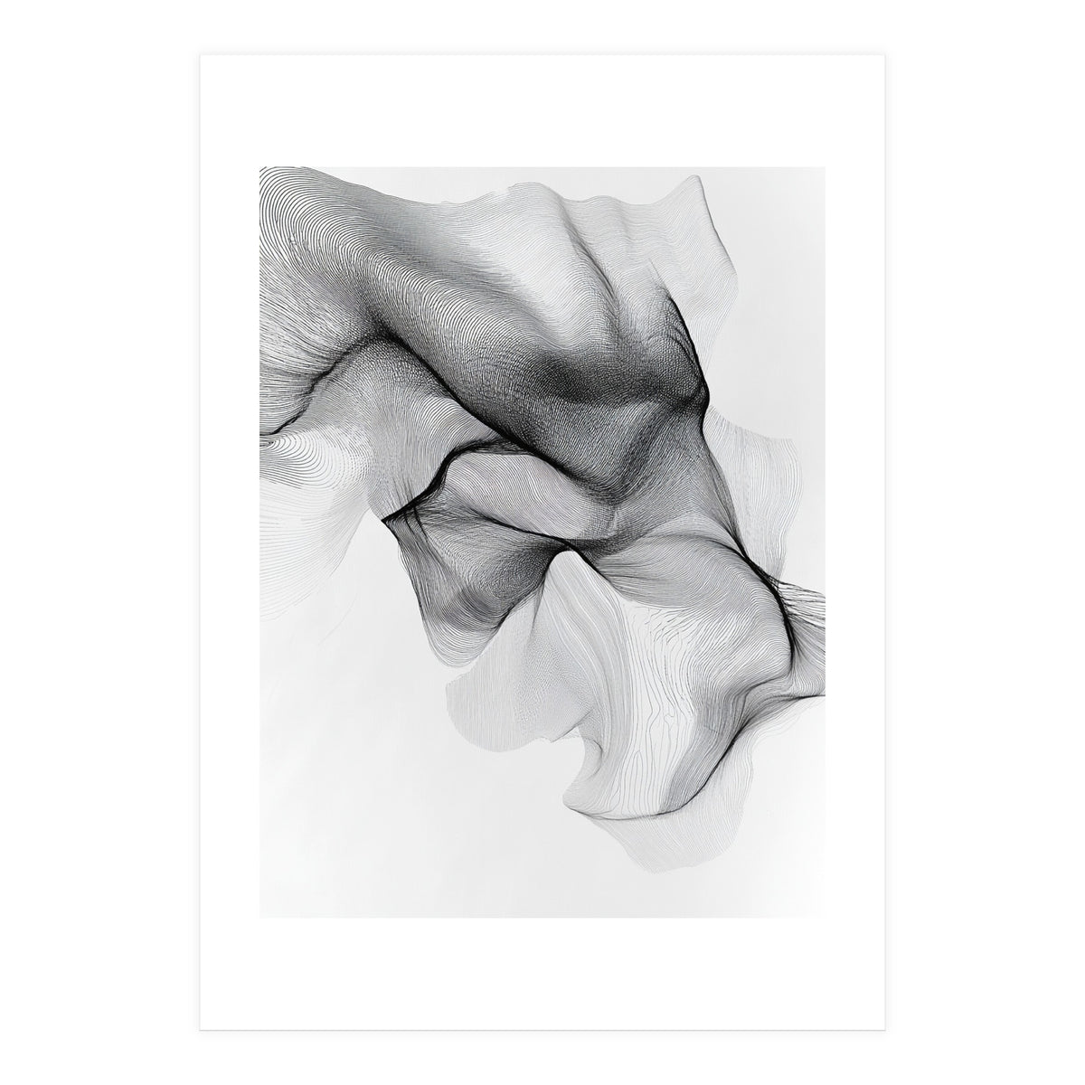Abstract Black And White Flowing Lines Forming Organic Shapes And Forms (Print Only)
