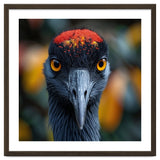Close Up Of A Strikingly Beautiful Bird Face thumbnail
