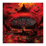 Socotra Dragon Blood tree (Print Only) thumbnail