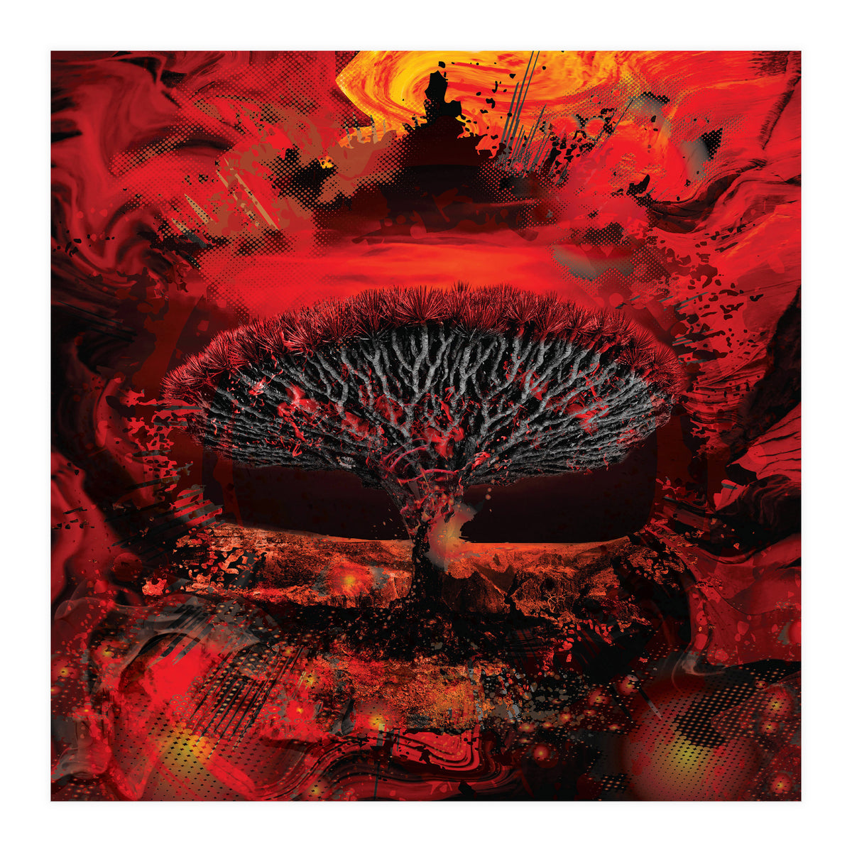 Socotra Dragon Blood tree (Print Only)