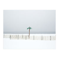 Fake palm tree in the winter snow beach (Print Only)