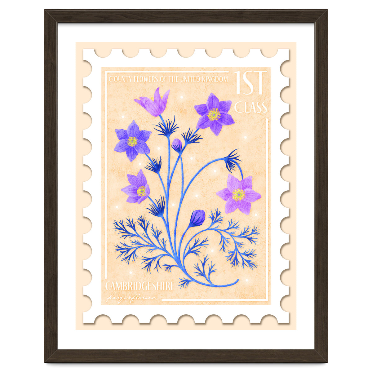 The Cambridgeshire Pasqueflower Postage Stamp