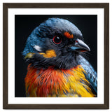 Close Up Of A Colorful Bird In The Wild thumbnail