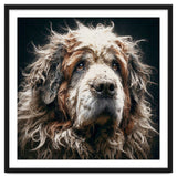 Old Dog 01 thumbnail