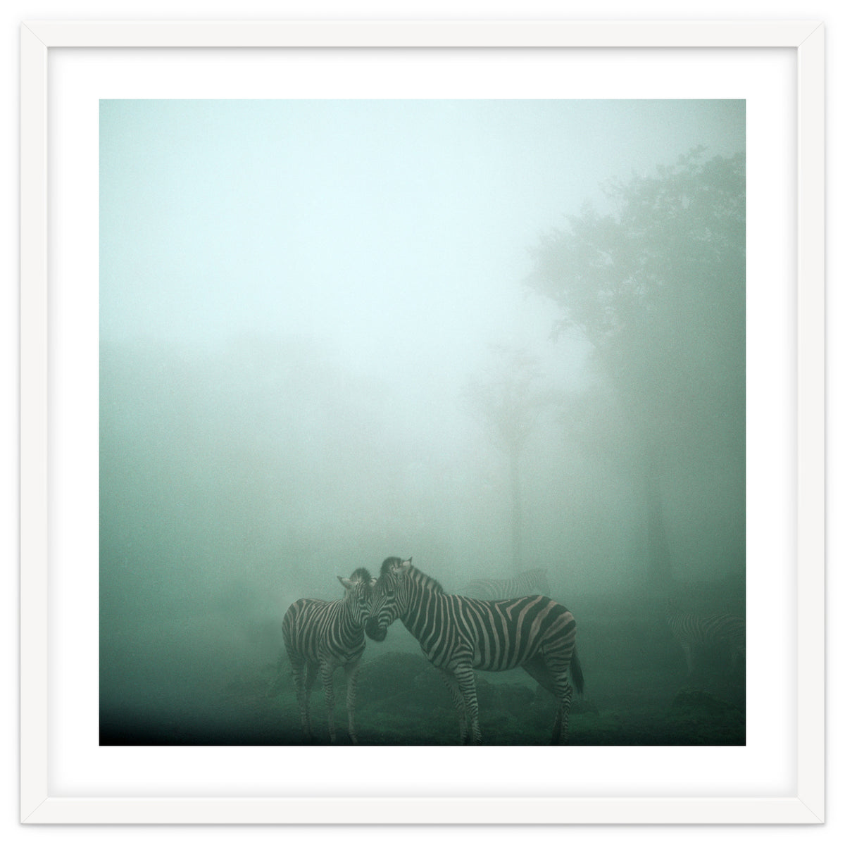 Silence of breath - 11