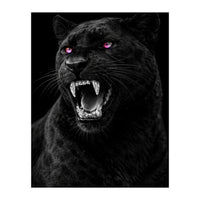 Black leopard with colorful eyes portrait (Print Only)