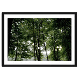 Light bulb among the trees in the summer forest thumbnail