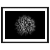 Backyard Flowers In Black And White No 48 Flow Version thumbnail