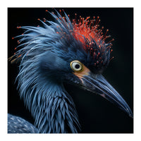 Blue Heron Bird Head With Orange Crown  (Print Only)