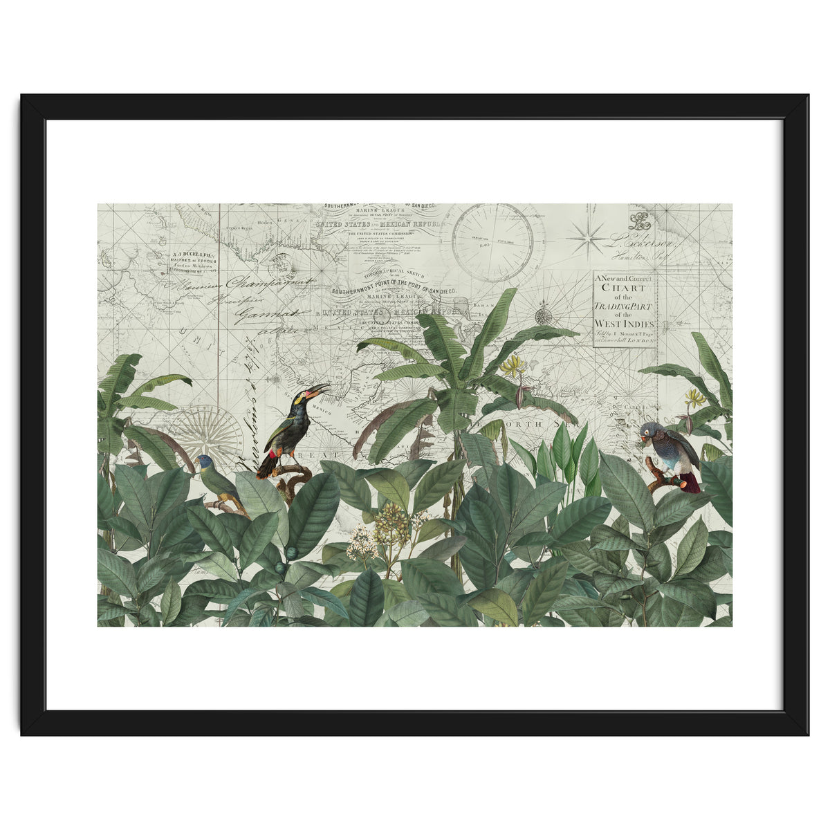 Explore The New World