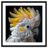 Close Up Of A Cockatoo With Yellow Crest thumbnail