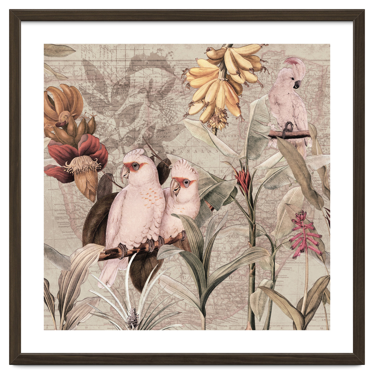 Cockatoo Exotic Bird Jungle