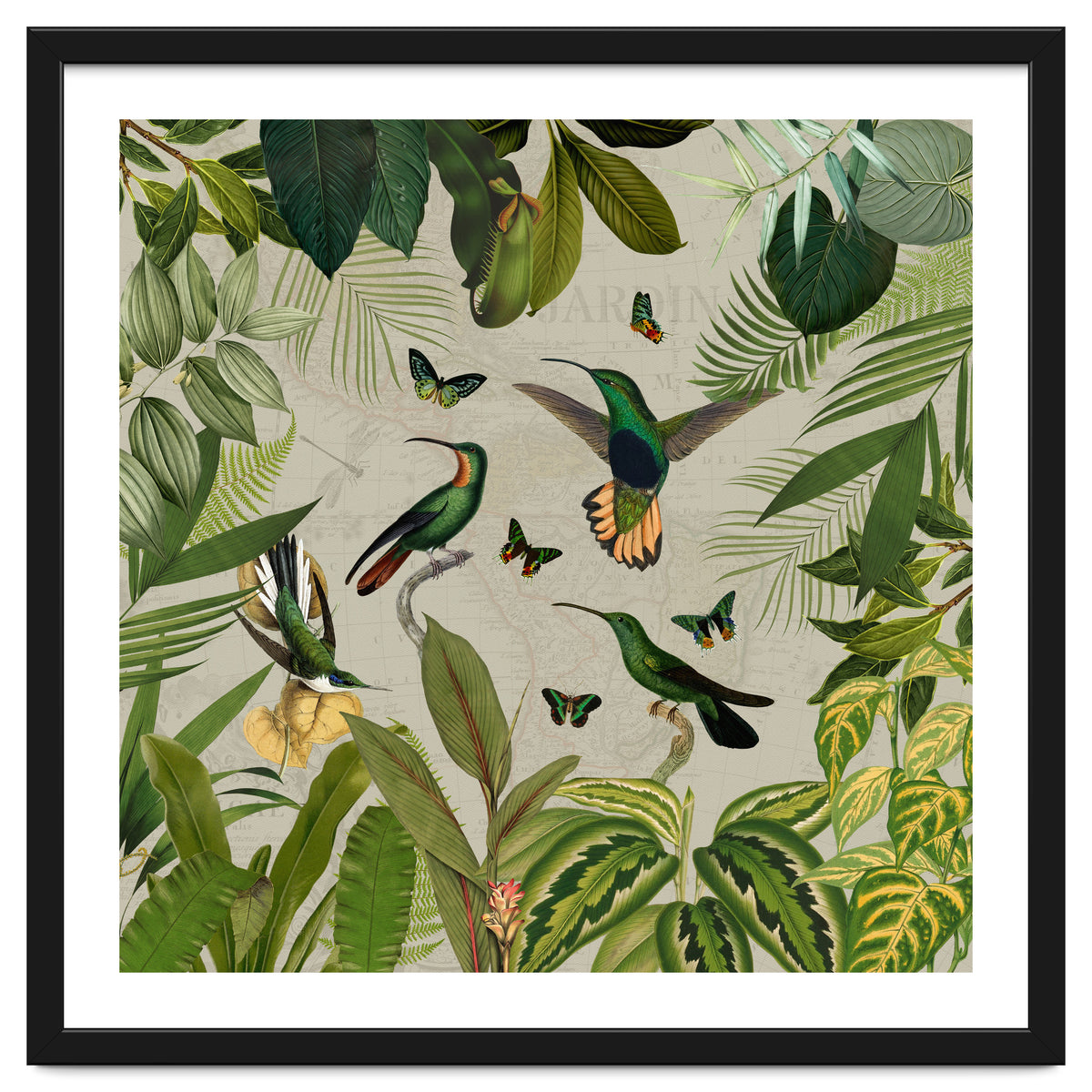 Vintage Exotic Hummingbirds Jungle