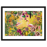 Flamingo Island thumbnail