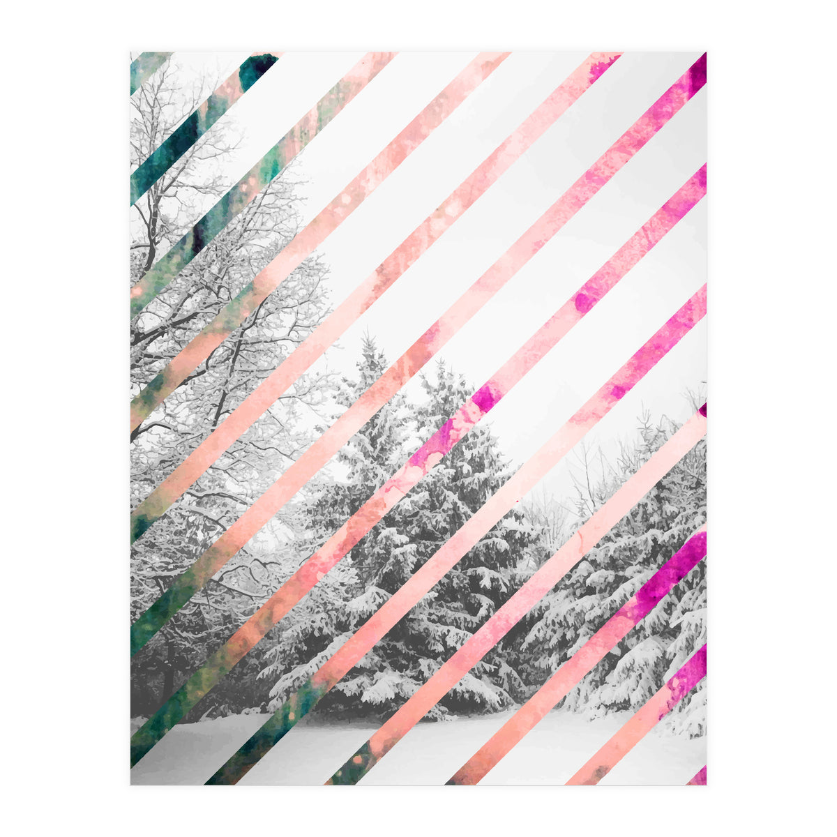 Snow Angel (Print Only)