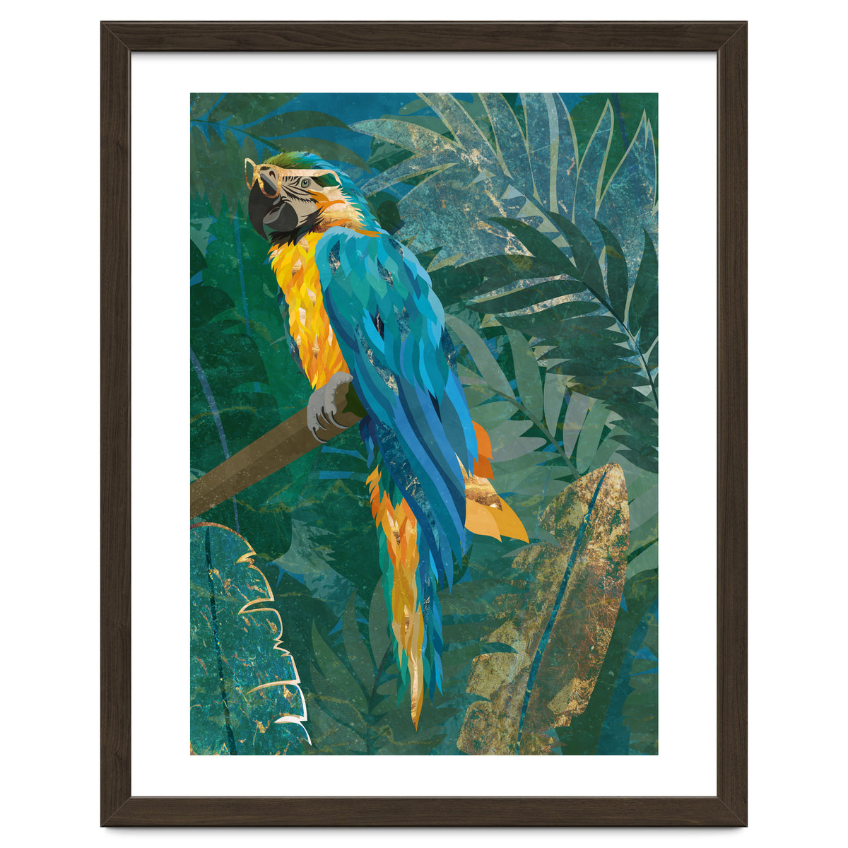 Macaw in the jungle